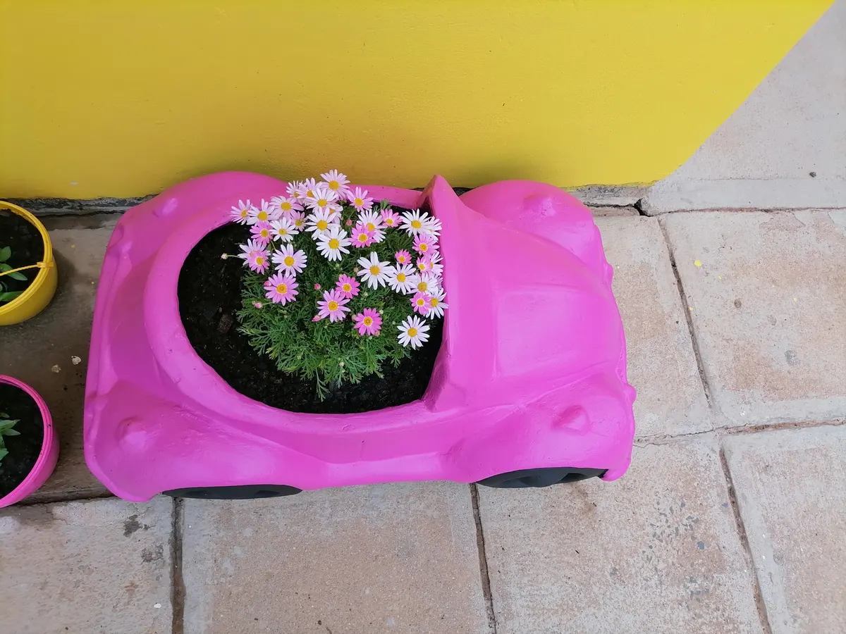 A pink toy-car planter filled with white and pink daisies against a bright yellow wall.